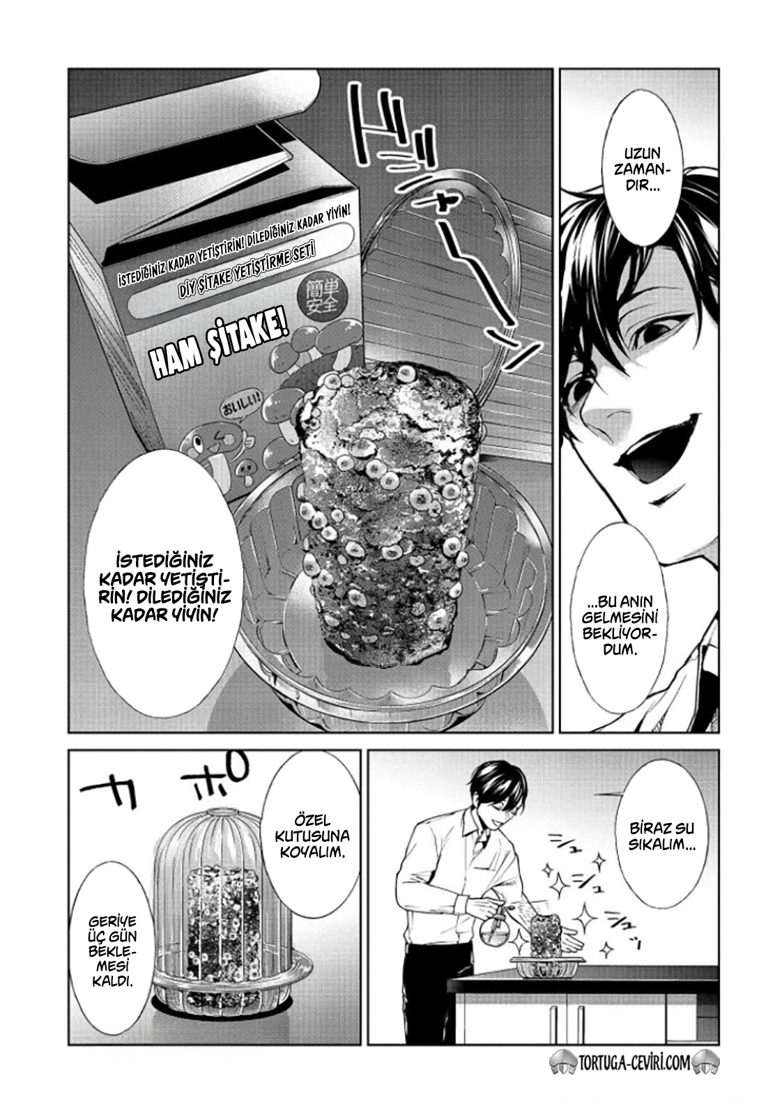 Read Brutal Tr Manga Online