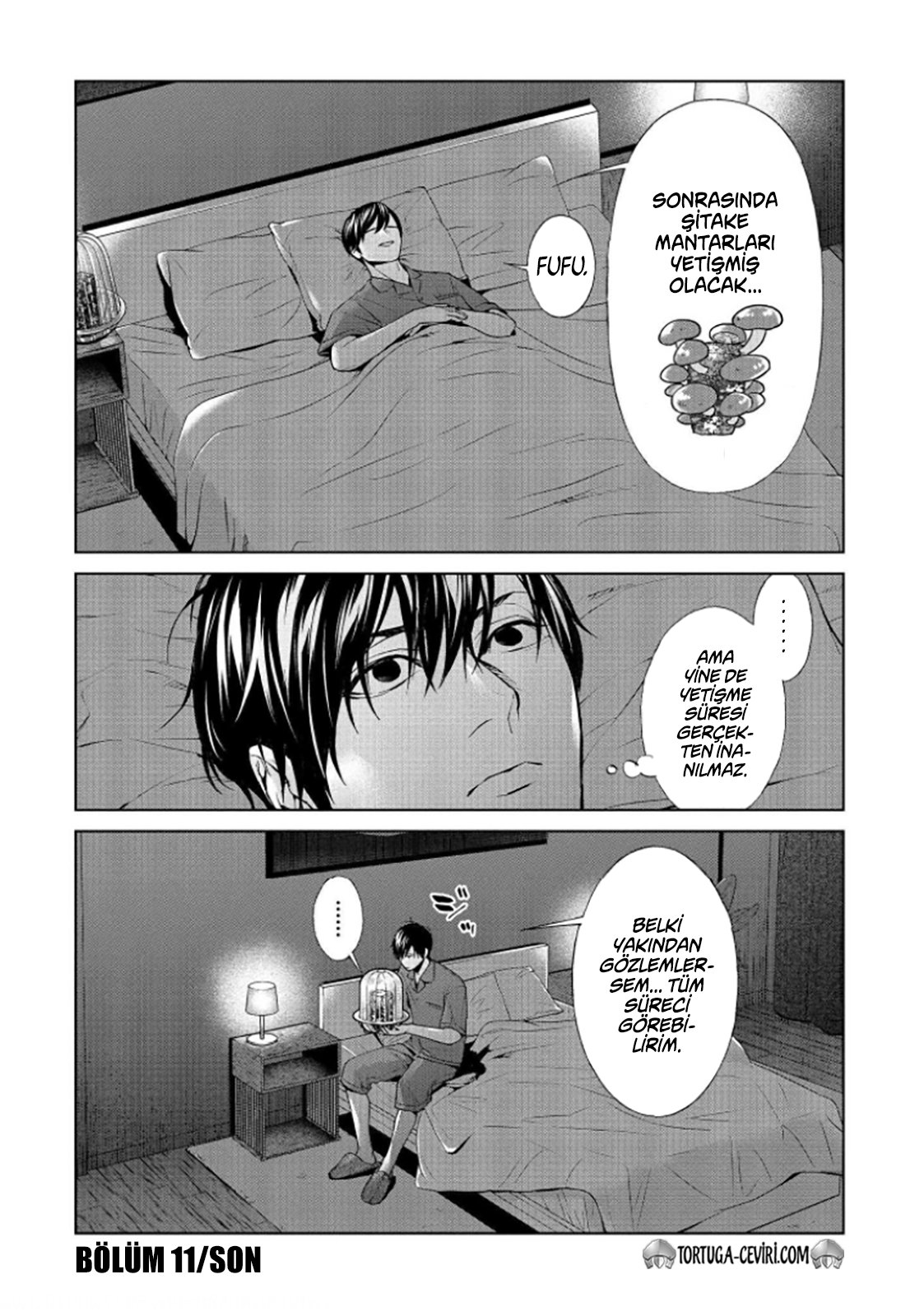 Read Brutal Tr Manga Online