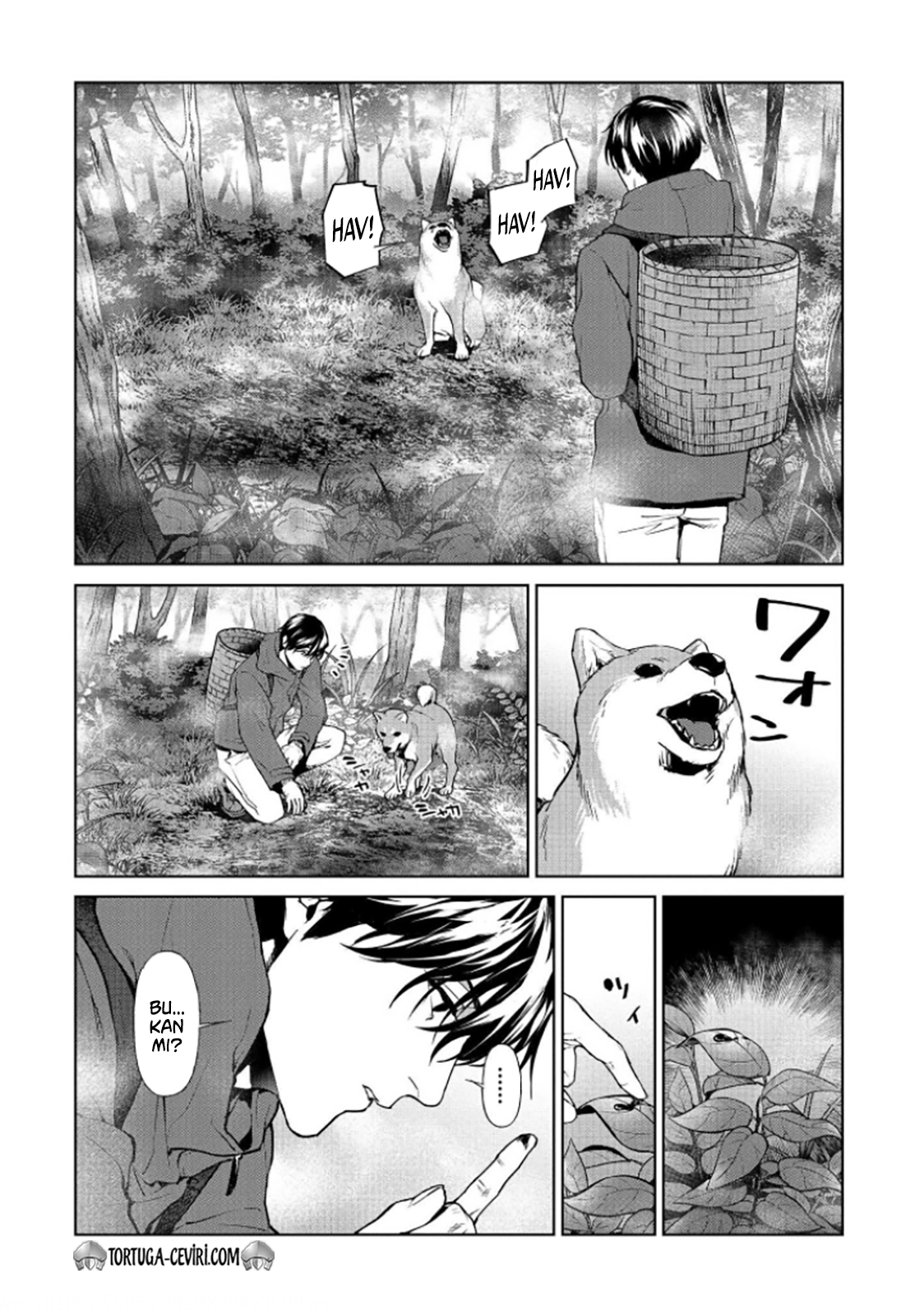Read Brutal Tr Manga Online