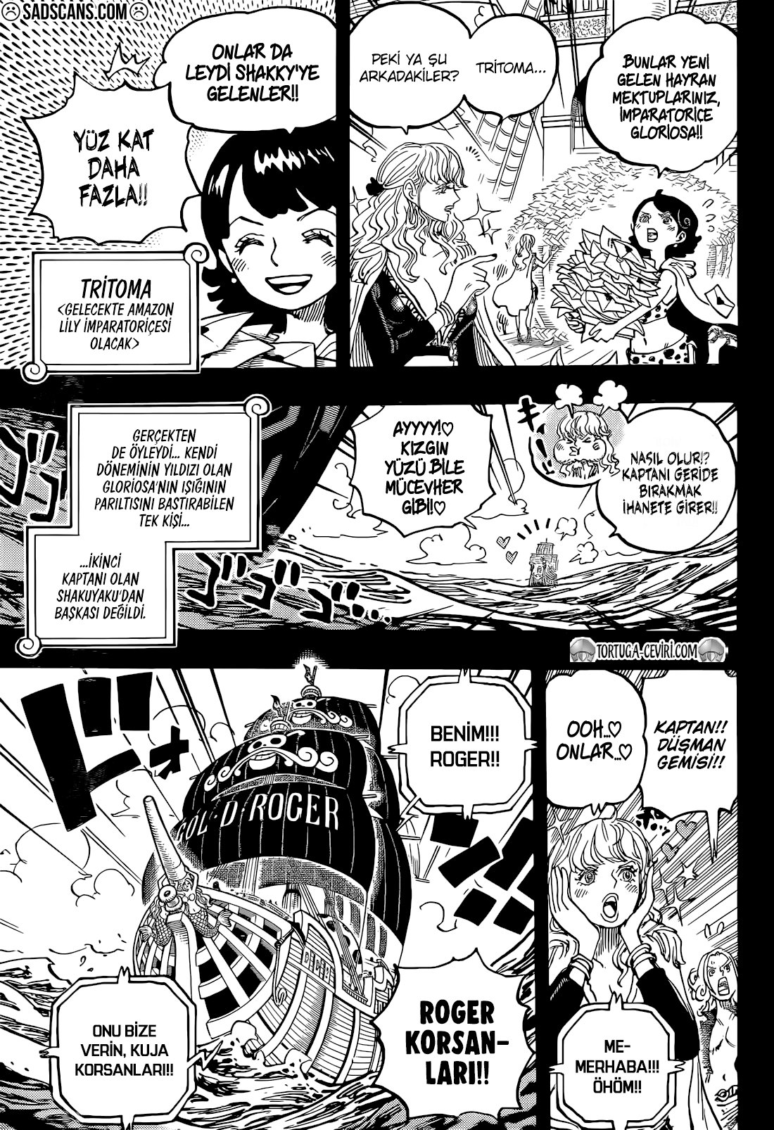 Read One Piece Tr Manga Online