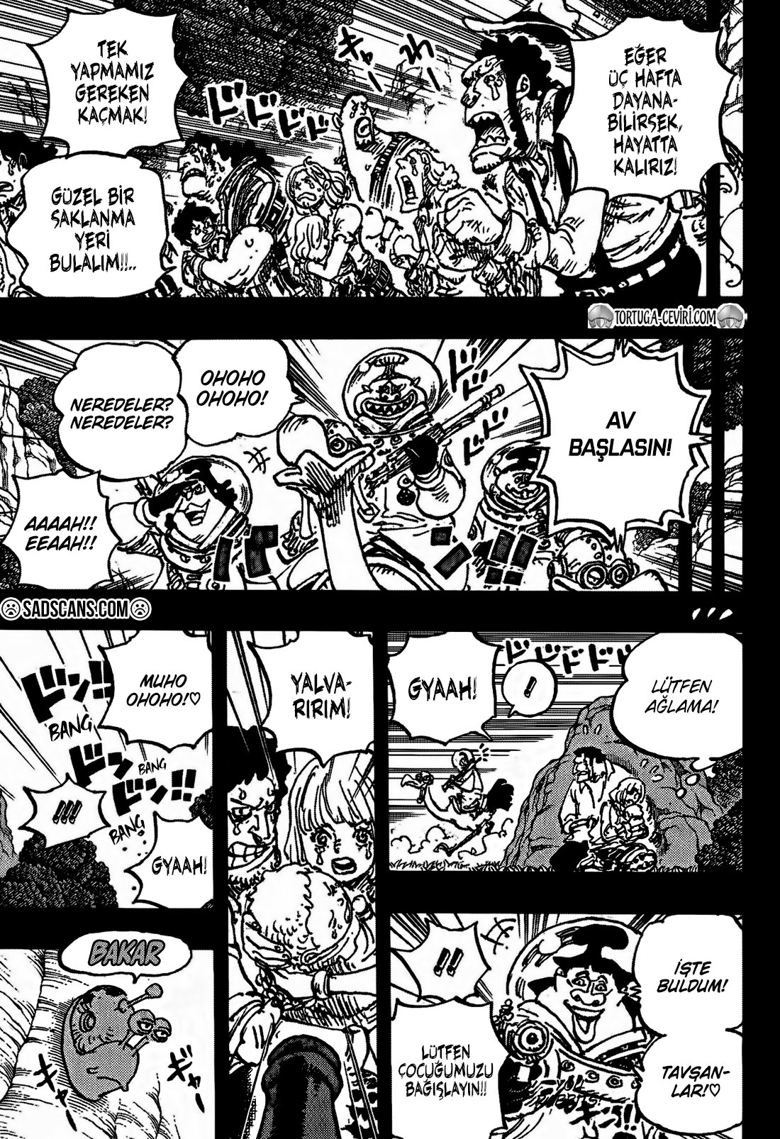 Read One Piece Tr Manga Online