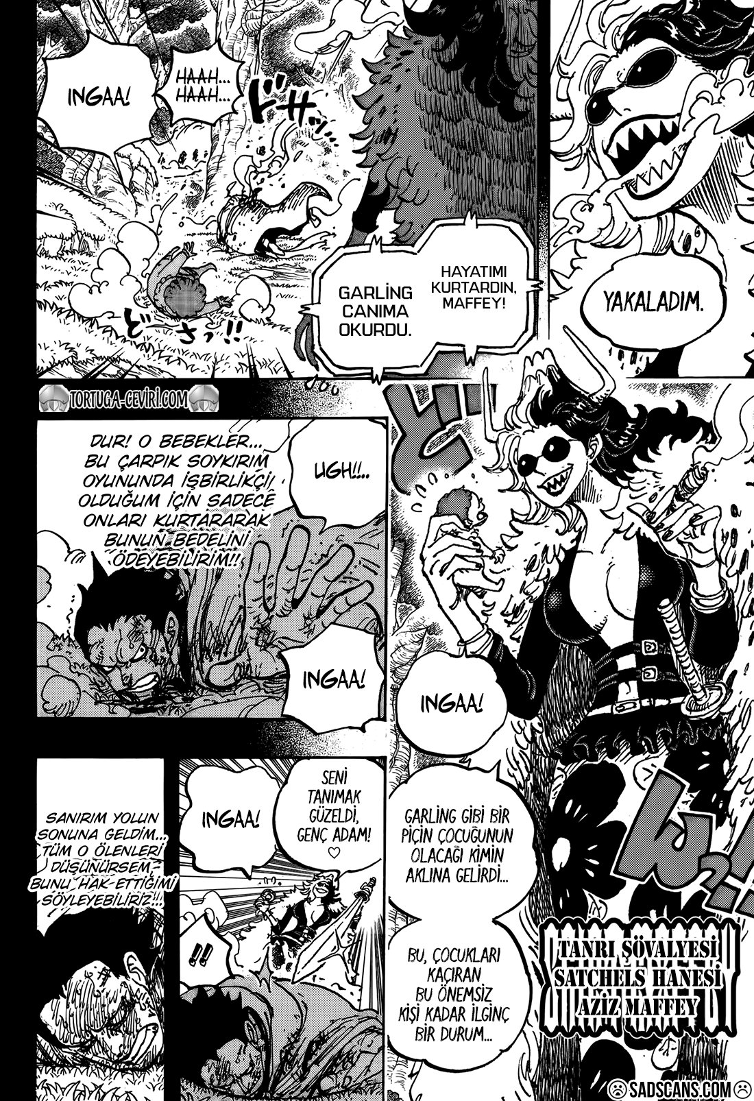 Read One Piece Tr Manga Online