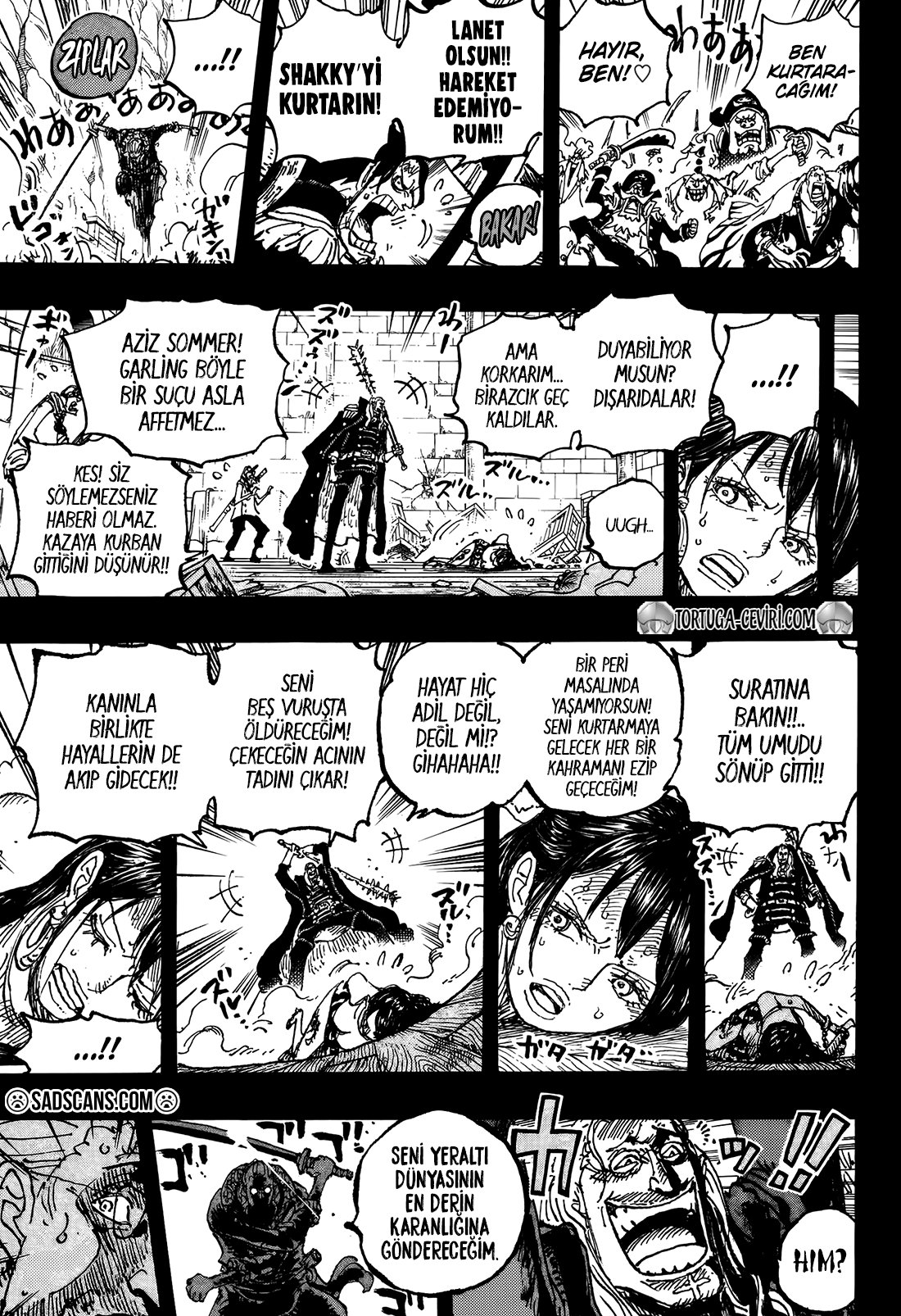 Read One Piece Tr Manga Online