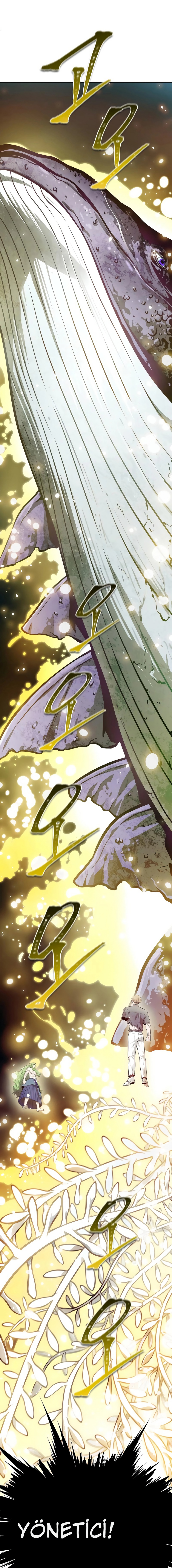 Read Tower of God Tr Manga Online