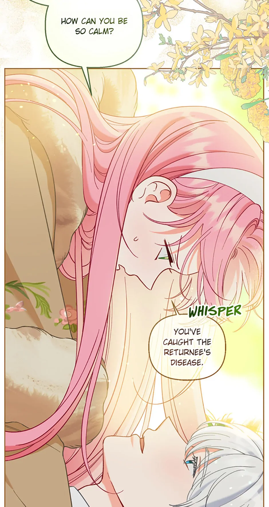 Read A Transmigrator's Privilege En Manga Online