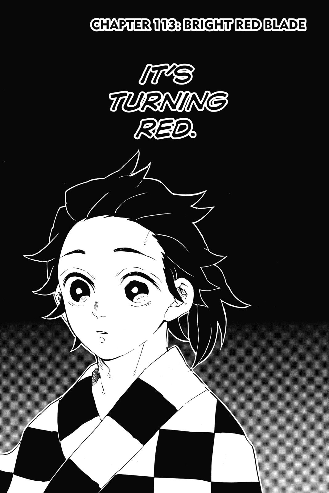 Read Demon Slayer En Manga Online