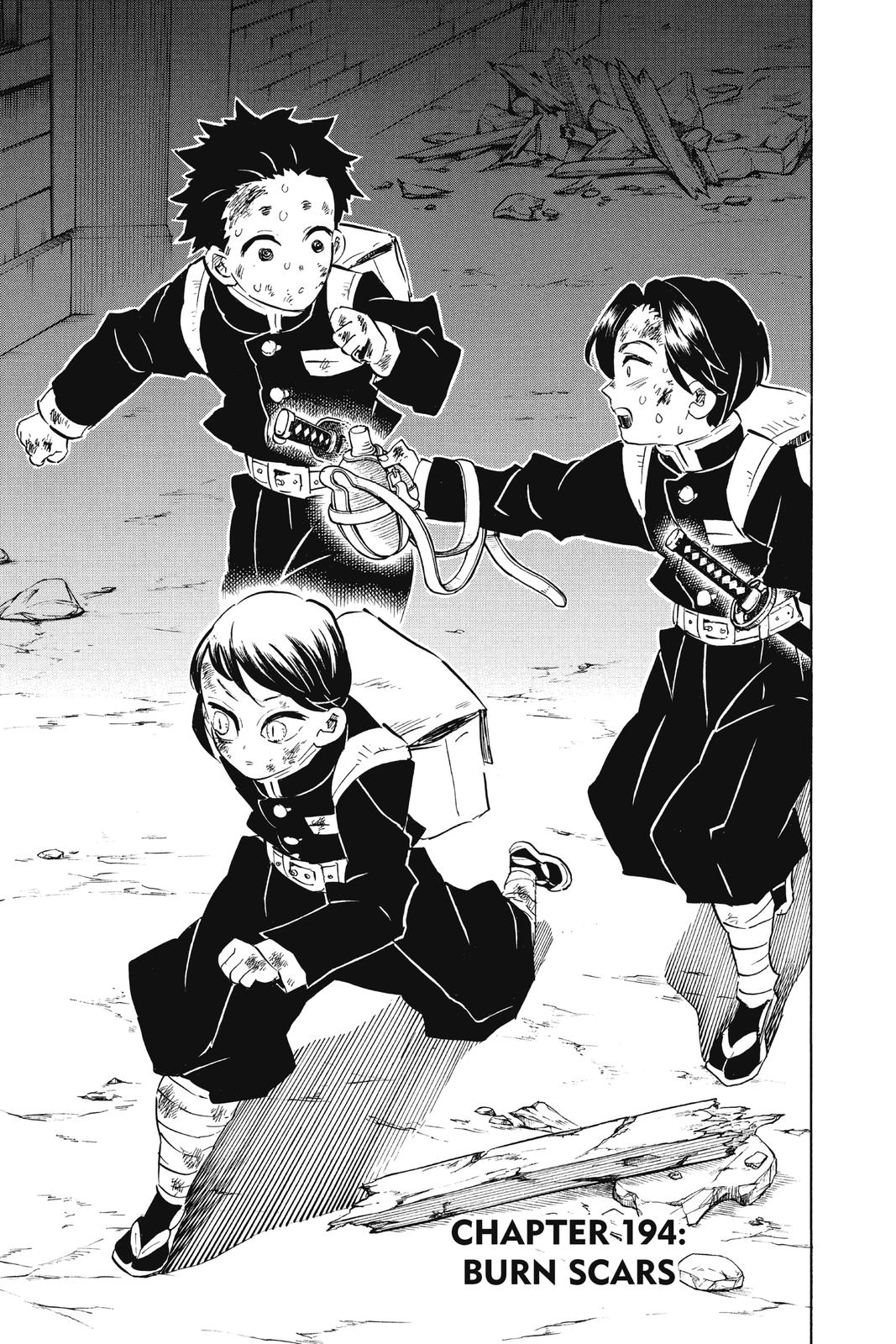 Read Demon Slayer En Manga Online
