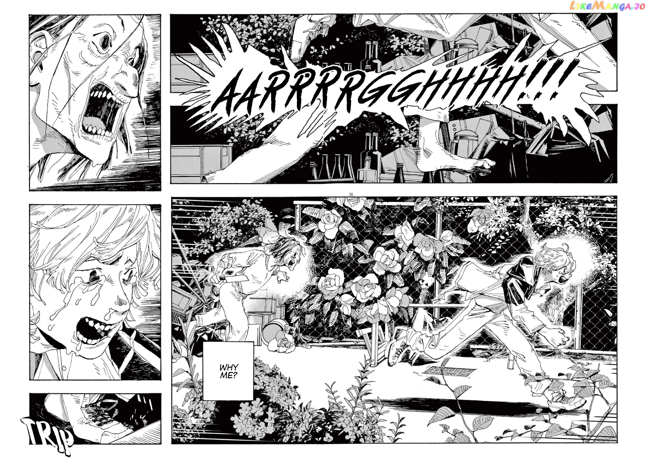 Read Fool Night En Manga Online