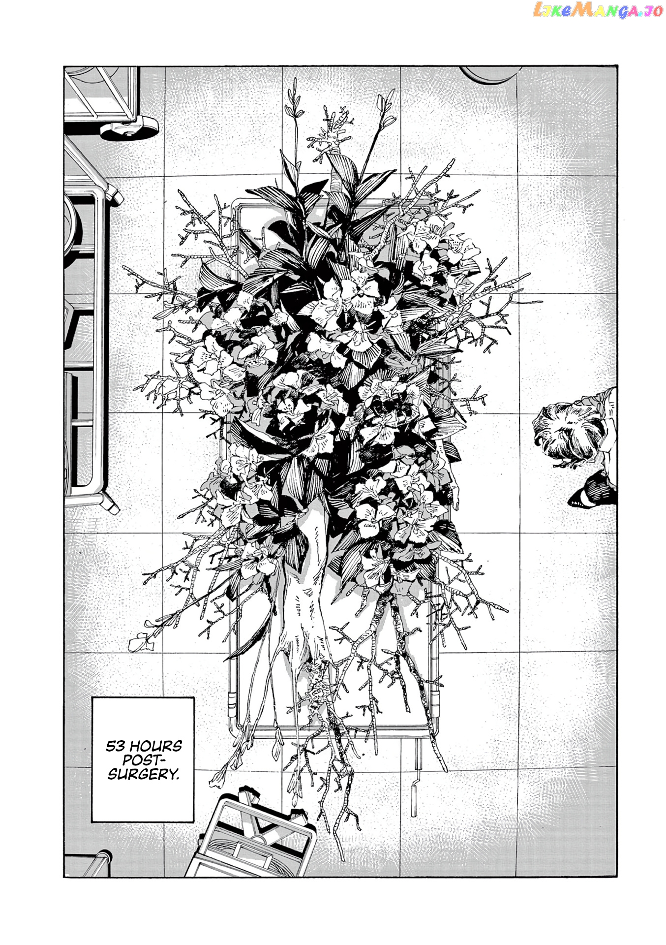 Read Fool Night En Manga Online