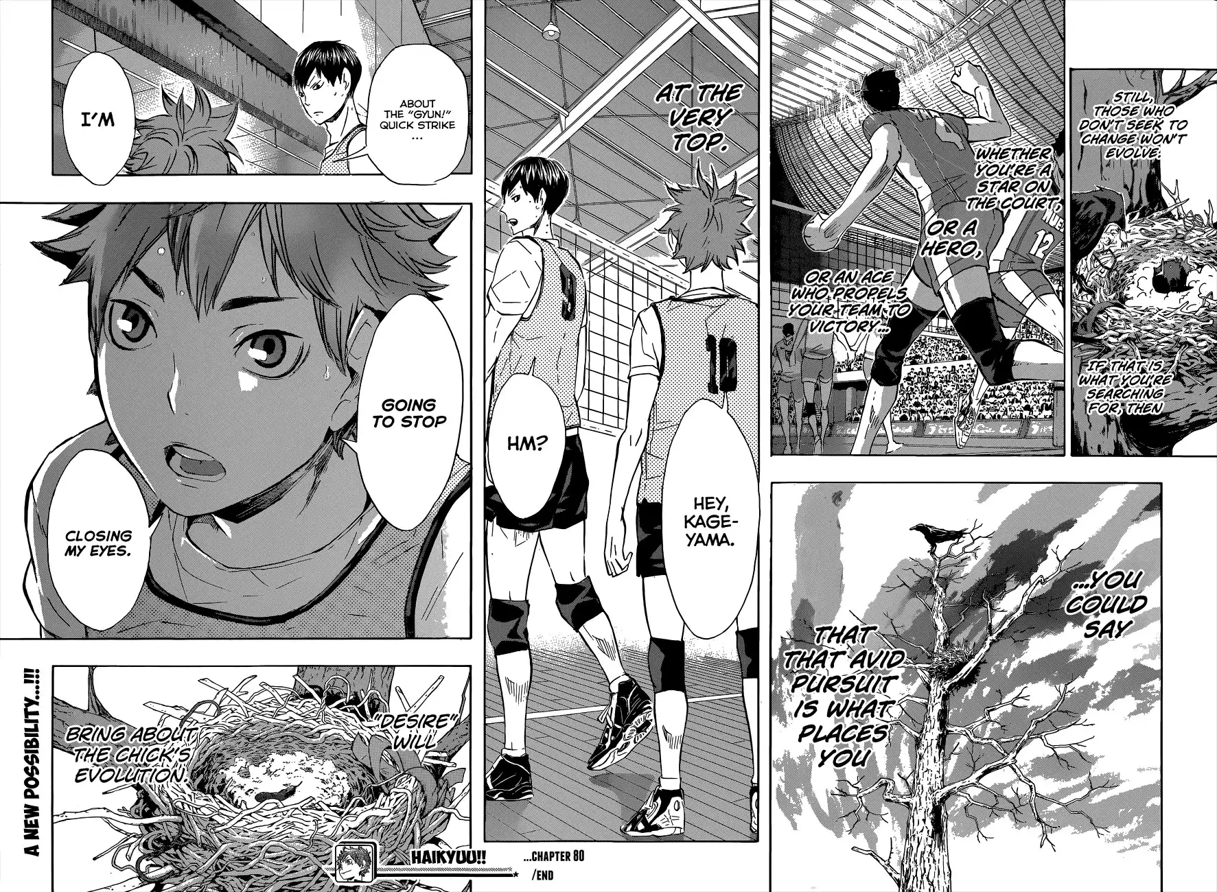 Read Haikyuu En Manga Online