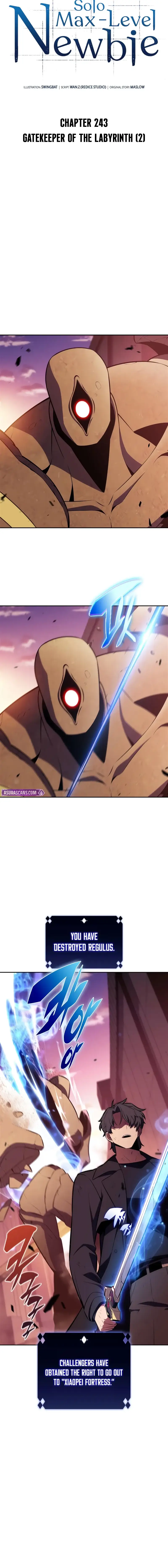 Read Solo Max Level Newbie En Manga Online