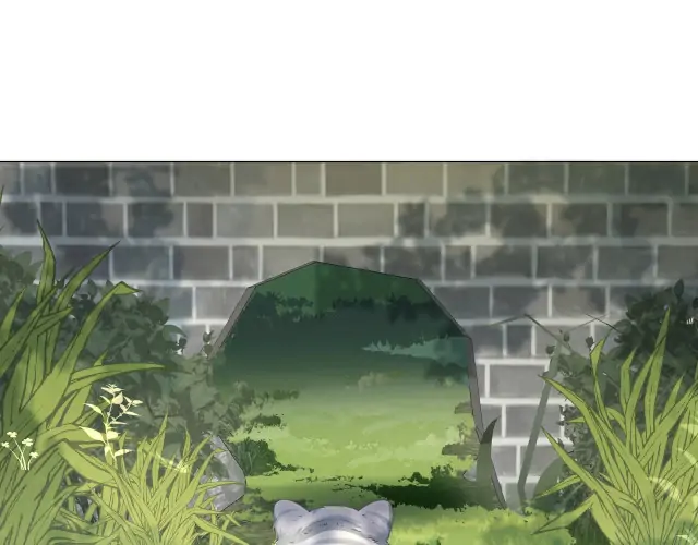 Read Survival Methods of the Cannon Fodder Daughter En Manga Online
