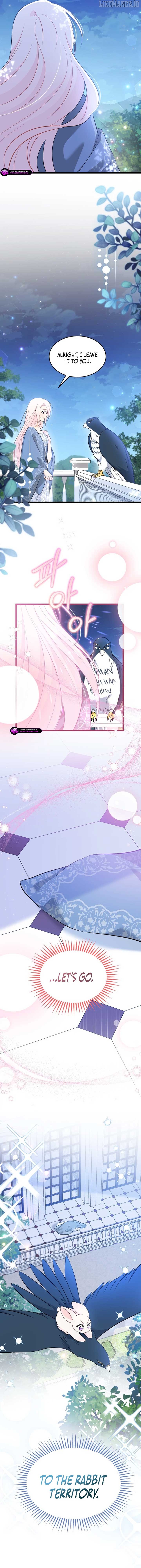 Read The Symbiotic Relationship Between the Rabbit and the Black Panther En Manga Online