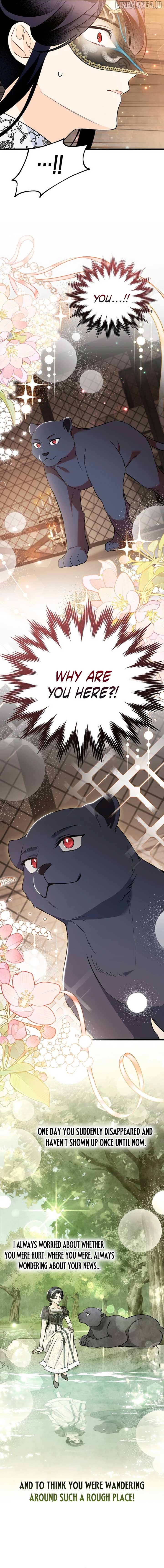 Read The Symbiotic Relationship Between the Rabbit and the Black Panther En Manga Online
