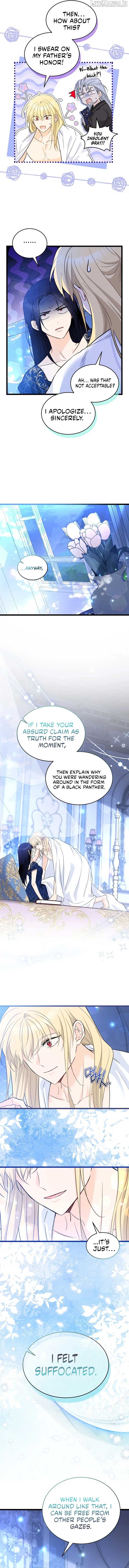 Read The Symbiotic Relationship Between the Rabbit and the Black Panther En Manga Online