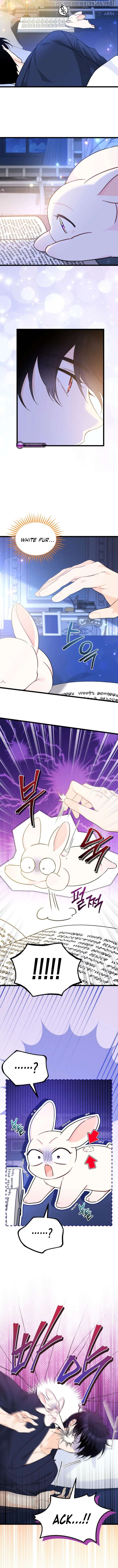 Read The Symbiotic Relationship Between the Rabbit and the Black Panther En Manga Online