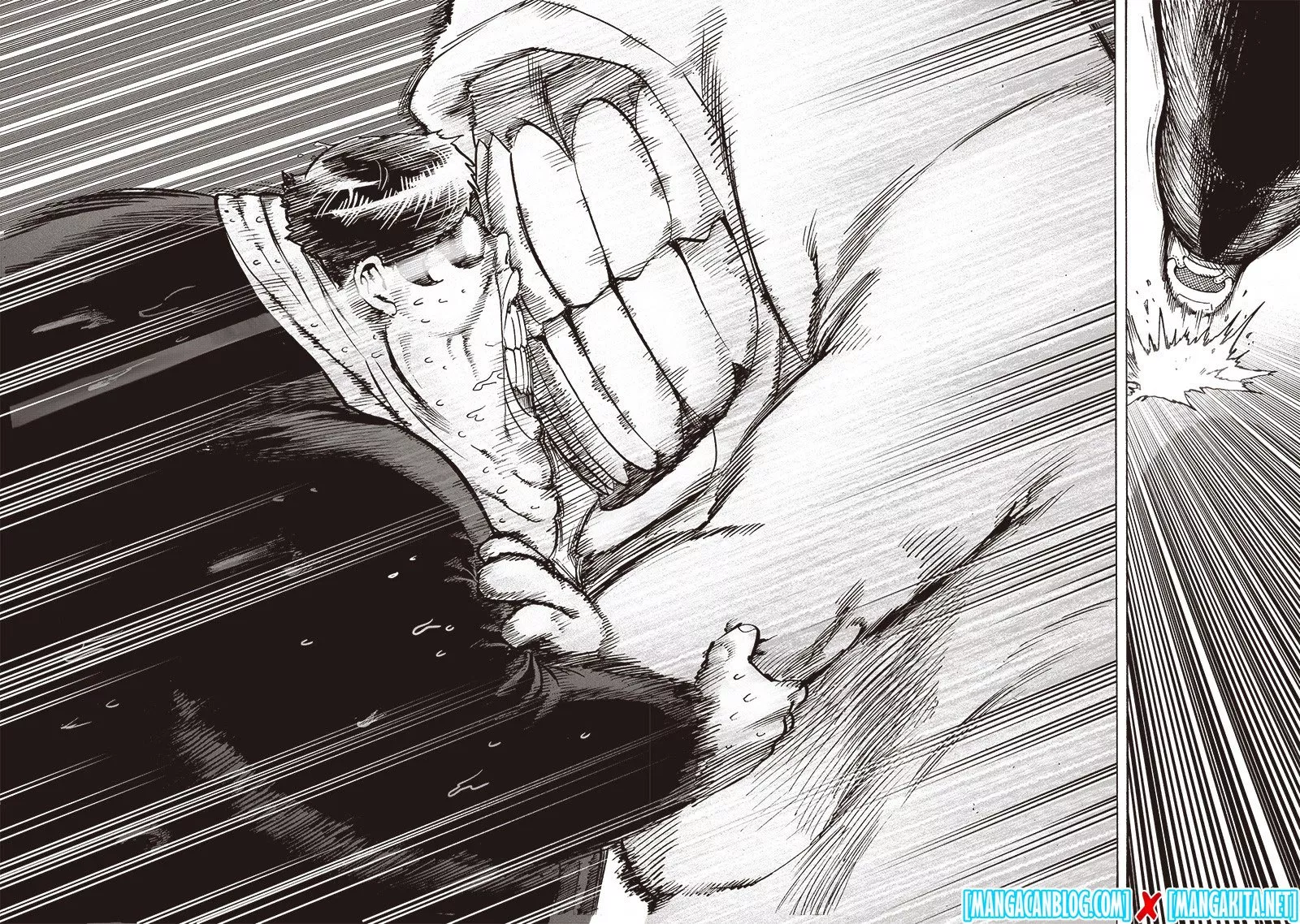 Read One Punch Man id Manga Online