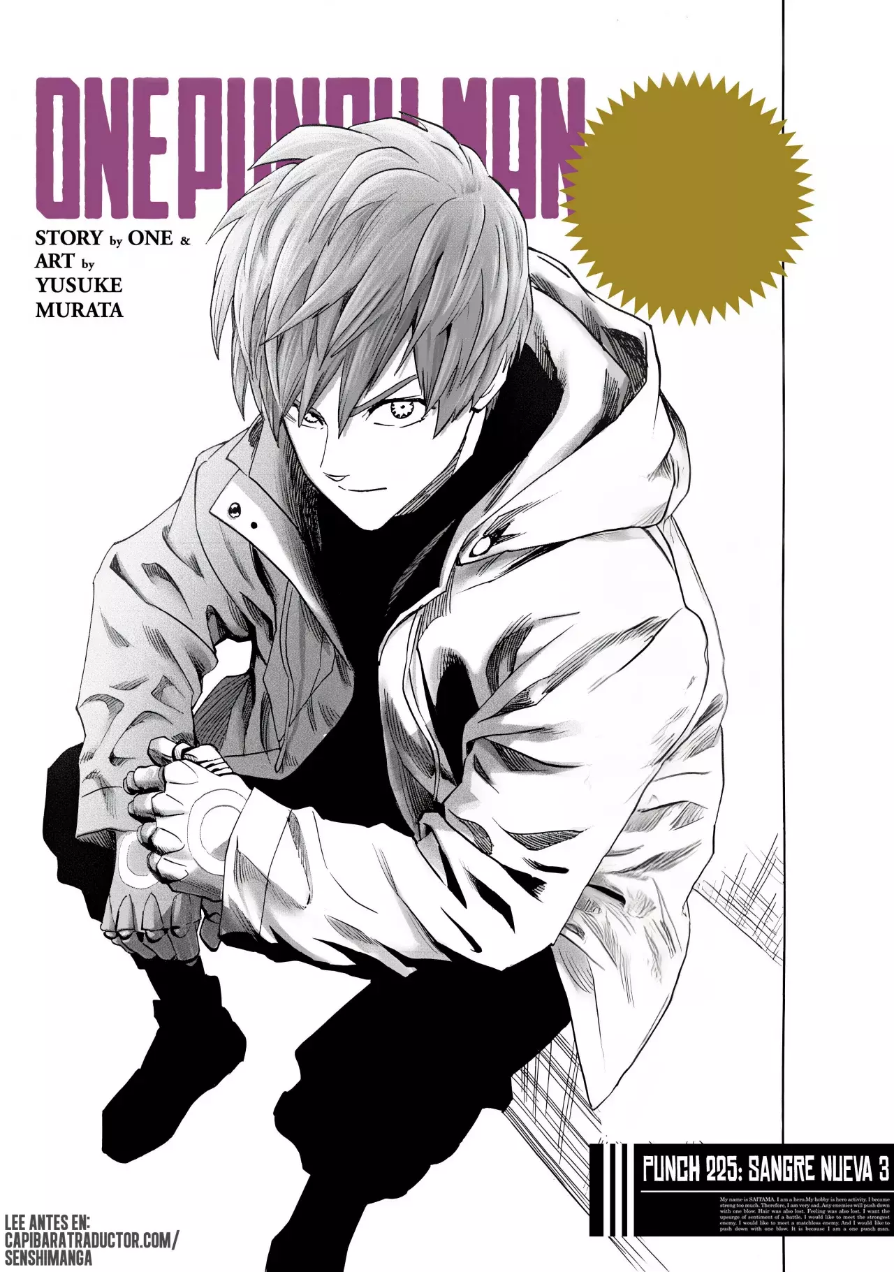 Read One Punch Man Es Manga Online